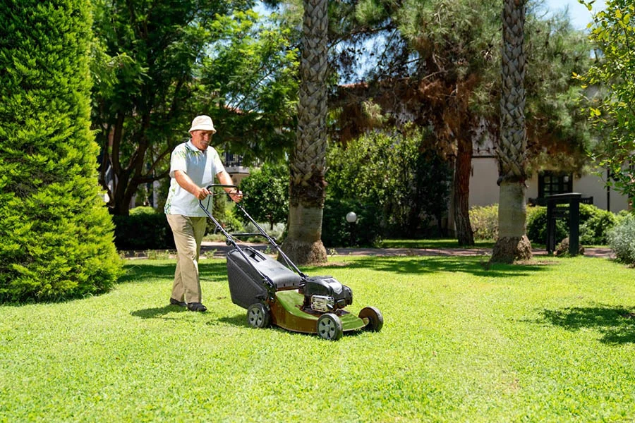 best battery-powered lawn mower for small yard